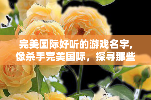 完美国际好听的游戏名字,像杀手完美国际,探寻那些令人心动的游戏名字,探寻完美国际,那些令人心动的游戏名字 完美国际好听的游戏名字,像杀手完美国际,探寻那些令人心动的游戏名字,探寻完美国际,那些令人心动的游戏名字