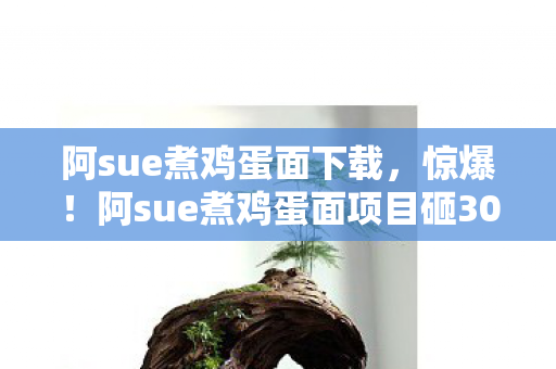 阿sue煮鸡蛋面项目砸300万竟藏这隐情图片