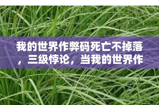 我的世界作弊码死亡不掉落，三级悖论，当我的世界作弊码撕碎自由意志的虚伪面纱