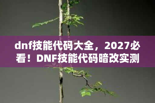 DNF技能代码暗改实测图片