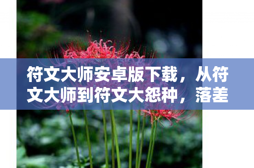 从符文大师到符文大怨种图片