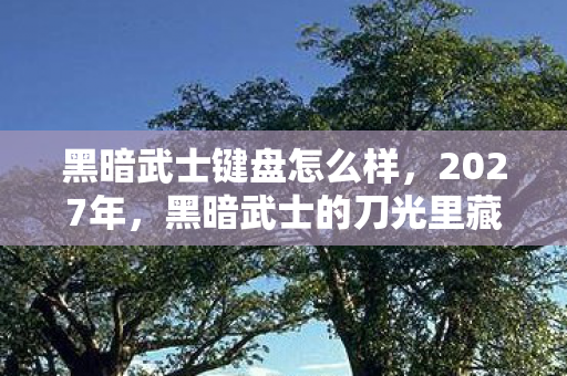 黑暗武士的刀光里藏着谁未说的别走图片