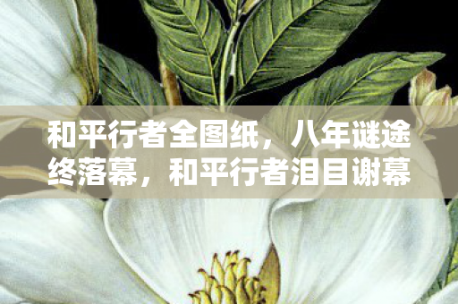 和平行者全图纸，八年谜途终落幕，和平行者泪目谢幕时