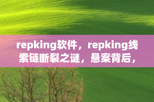 repking软件,repking线索链断裂之谜,悬案背后,毛骨悚然的玩家自掘坟墓真相 repking软件,repking线索链断裂之谜,悬案背后,毛骨悚然的玩家自掘坟墓真相