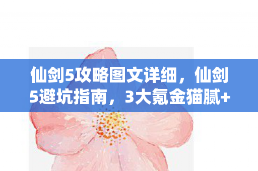仙剑5攻略图文详细图片