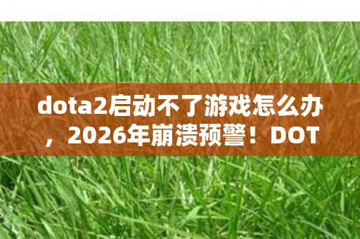 DOTA2启动失败竟藏惊天秘密图片