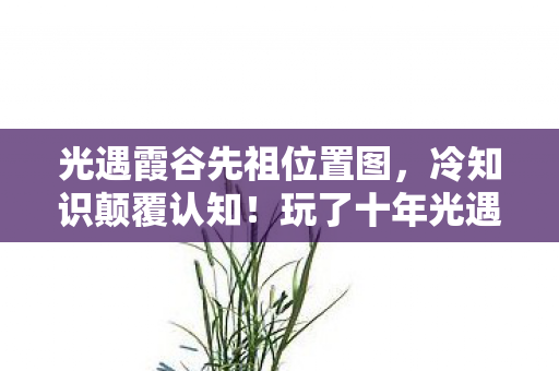 霞谷先祖位置竟让我目瞪口呆图片