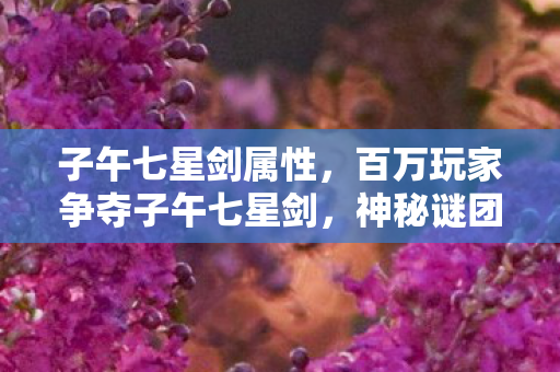 百万玩家争夺子午七星剑图片