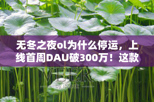 竟用反氪金模式撕开MMO新蓝海图片