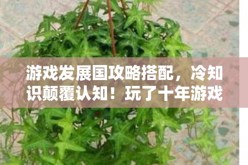 游戏发展国攻略搭配，冷知识颠覆认知！玩了十年游戏发展国，这些真相让我目瞪口呆！