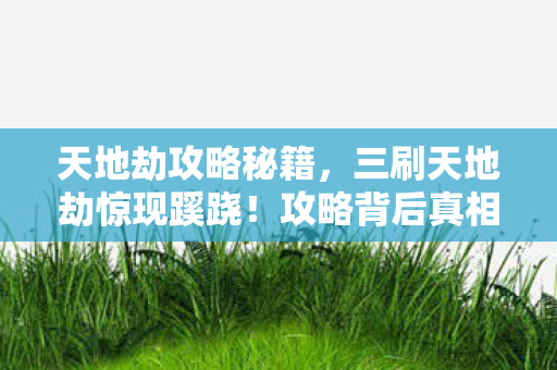 三刷天地劫惊现蹊跷图片