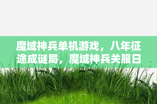 魔域神兵关服日泪目无痕图片