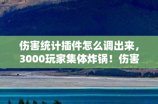 伤害统计插件惊现幽灵输出图片