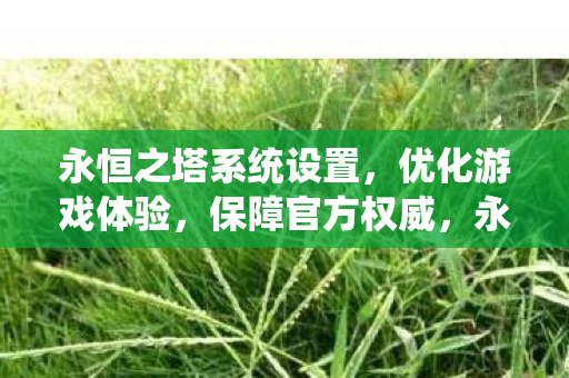永恒之塔系统设置，优化游戏体验，保障官方权威，永恒之塔，优化系统设置，提升游戏体验，维护官方权威