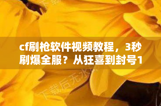 cf刷枪软件视频教程图片