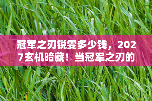 当冠军之刃的沉默刀锋划破人生选择图片