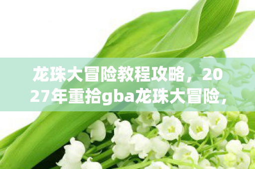 2027年重拾gba龙珠大冒险图片