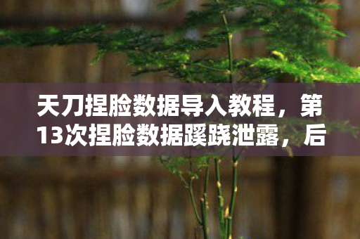 第13次捏脸数据蹊跷泄露图片