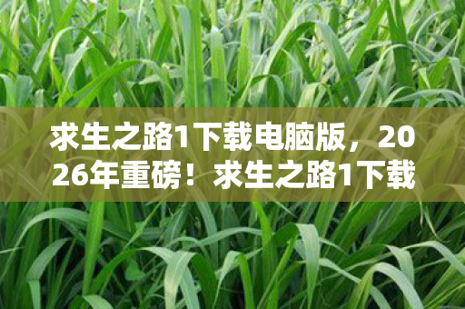 求生之路1下载电脑版图片