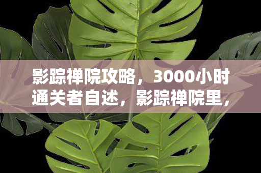 影踪禅院攻略，3000小时通关者自述，影踪禅院里，谁成了被游戏困住的苦行僧？