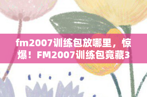 fm2007训练包放哪里，惊爆！FM2007训练包竟藏3000万隐情，真相让人吓一跳！