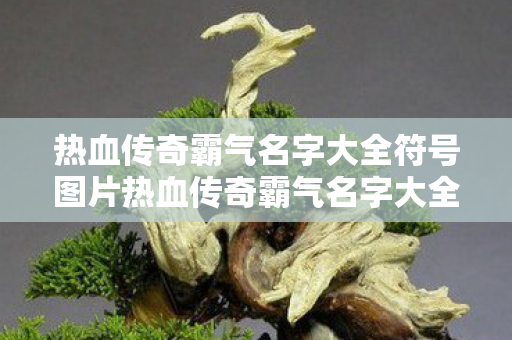 热血传奇霸气名字大全符号图片热血传奇霸气名字大全，热血传奇霸气名字大全