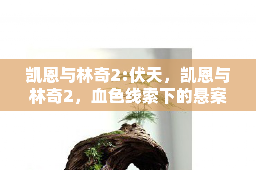 血色线索下的悬案图片