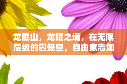 自由意志如何震颤灵魂图片