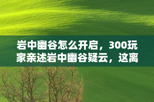 岩中幽谷怎么开启,300玩家亲述岩中幽谷疑云,这离谱设定,大神都绷不住要退坑! 岩中幽谷怎么开启,300玩家亲述岩中幽谷疑云,这离谱设定,大神都绷不住要退坑!