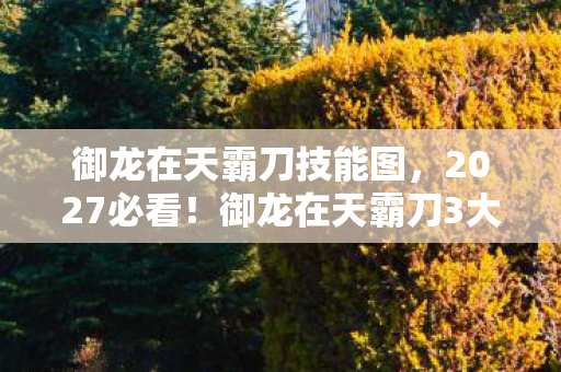 御龙在天霸刀3大革新体验图片