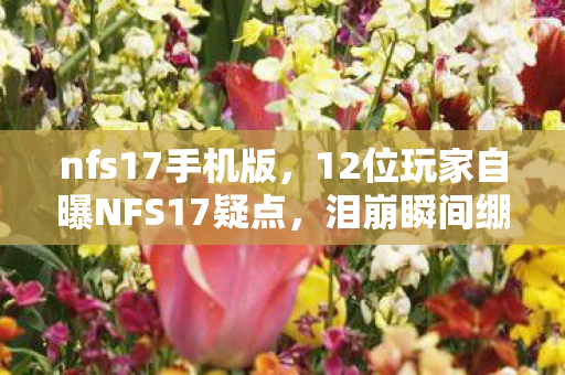 12位玩家自曝NFS17疑点图片