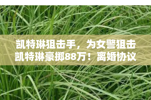 为女警狙击凯特琳豪掷88万图片
