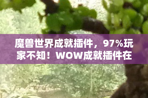 WOW成就插件在端游图片