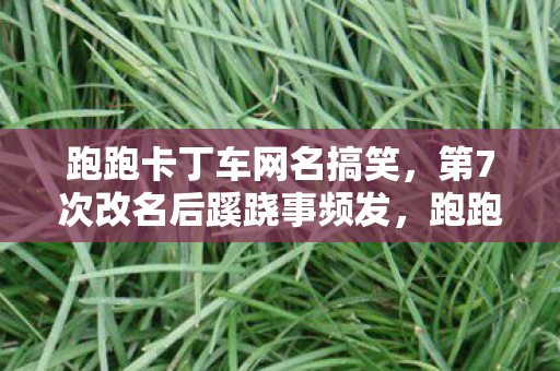 跑跑卡丁车网名搞笑，第7次改名后蹊跷事频发，跑跑卡丁车网名竟让我后背发凉！