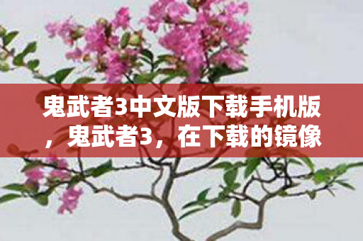 鬼武者3中文版下载手机版图片