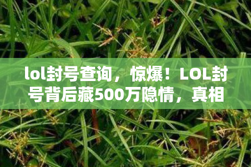LOL封号背后藏500万隐情图片
