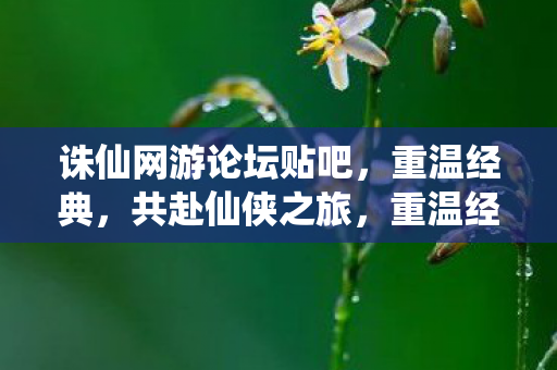 诛仙网游论坛贴吧,重温经典,共赴仙侠之旅,重温经典诛仙网游论坛贴吧,共赴仙侠之旅 诛仙网游论坛贴吧,重温经典,共赴仙侠之旅,重温经典诛仙网游论坛贴吧,共赴仙侠之旅