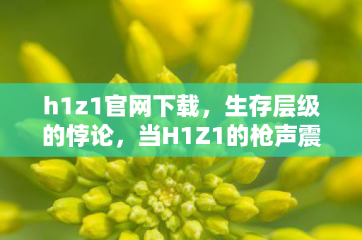 当H1Z1的枪声震颤灵魂图片