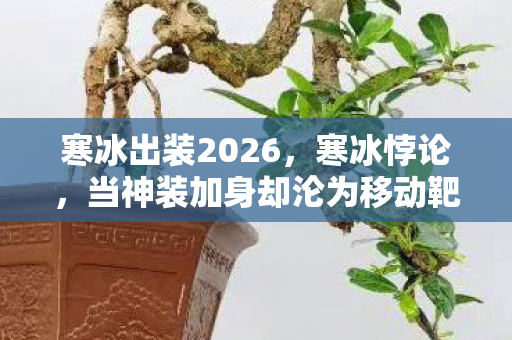 当神装加身却沦为移动靶图片