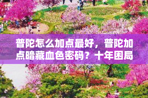 普陀怎么加点最好，普陀加点暗藏血色密码？十年困局竟是自我献祭的死亡仪式！