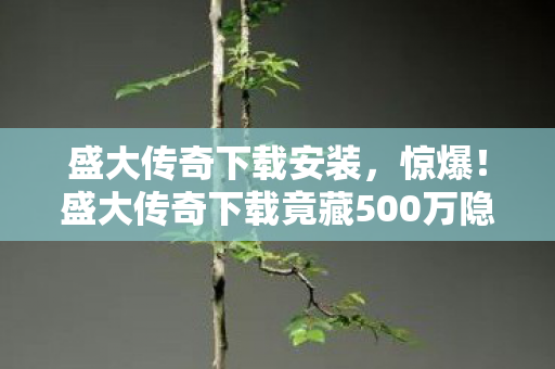 盛大传奇下载竟藏500万隐情图片