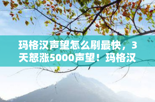 玛格汉声望怎么刷最快图片