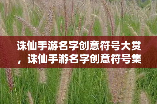 诛仙手游名字创意符号大赏,诛仙手游名字创意符号集锦 诛仙手游名字创意符号大赏,诛仙手游名字创意符号集锦