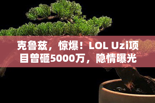 LOL Uzi项目曾砸5000万图片