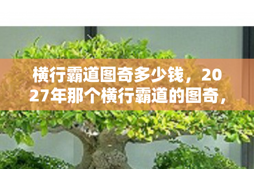2027年那个横行霸道的图奇图片