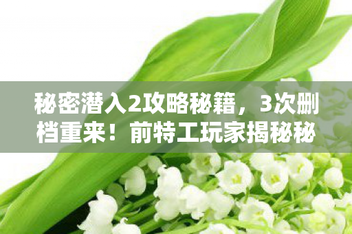 前特工玩家揭秘秘密潜入2的孤独与救赎图片