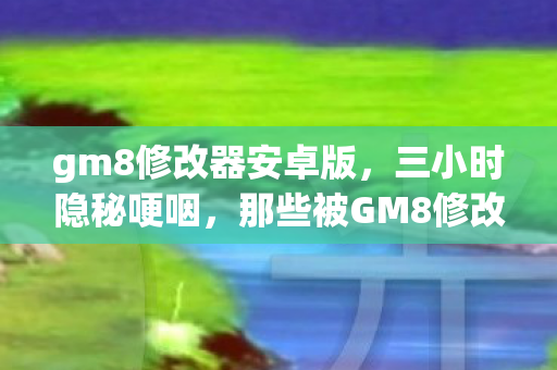 那些被GM8修改器封存的青春暗码图片