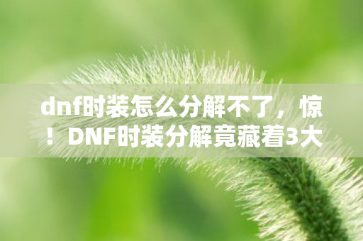 DNF时装分解竟藏着3大隐秘玄机图片