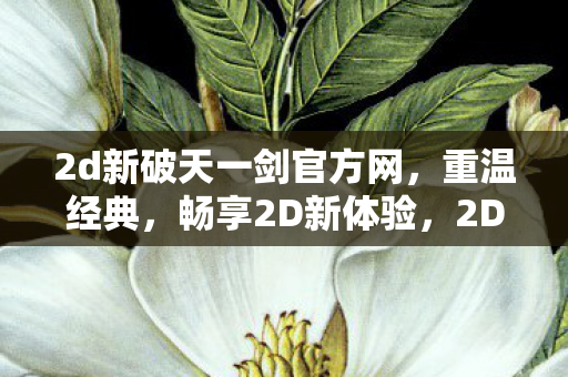 2d新破天一剑官方网，重温经典，畅享2D新体验，2D新破天一剑官方网，重温经典，畅享2D新体验