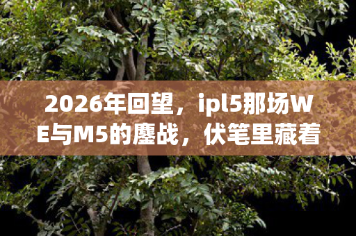 ipl5那场WE与M5的鏖战图片